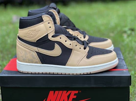 Air Jordan 1 Retro High – AJH005