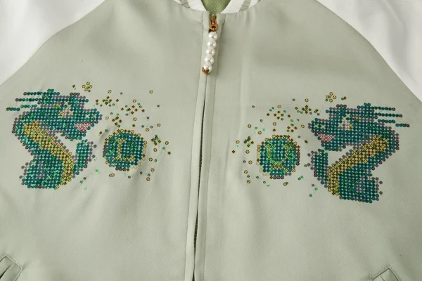Louis Vuitton Embroidered Souvenir Jacket – LC026 - Image 8