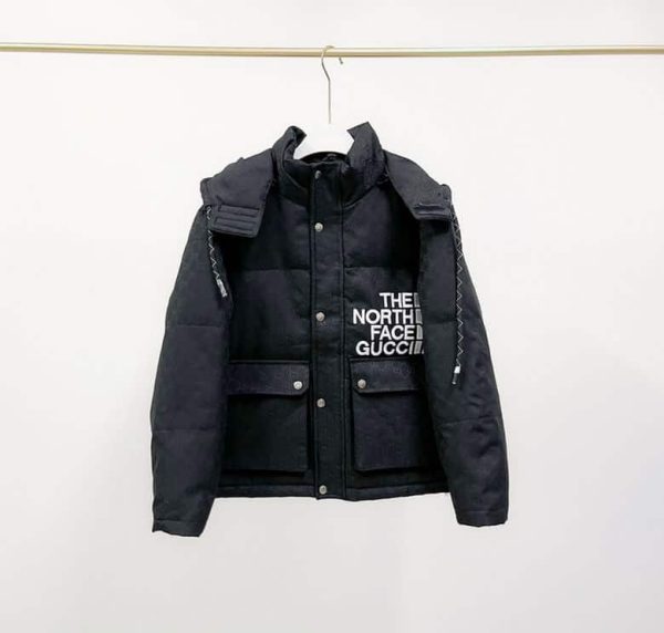 The North Face Coat – NC039