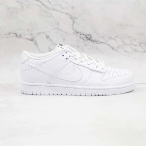NIKE DUNK LOW SNEAKER – NK88