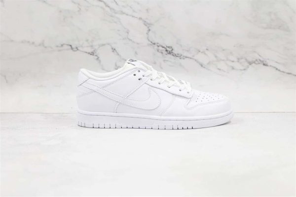 NIKE DUNK LOW SNEAKER – NK88