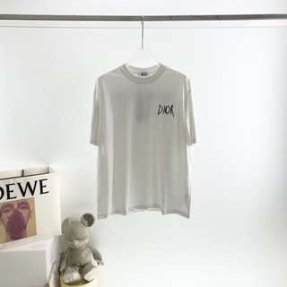 Dior Embroidered Sketch Signature Logo T-Shirt – CDS046