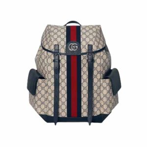Gucci Ophidia Gg Backpack – GC18
